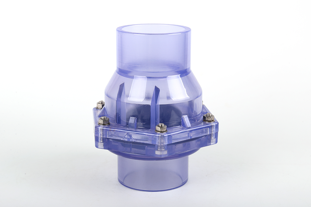 长坡镇透明翻板式止回阀